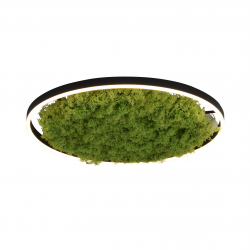 003902-026996 - 15392-66 LAMPA SUFITOWA GREEN RITUS -...