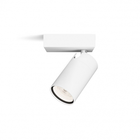 8720169299078 Sufitowy/ścienny reflektor punktowy Idris IP44 ŁAZIENKA PHILIPS