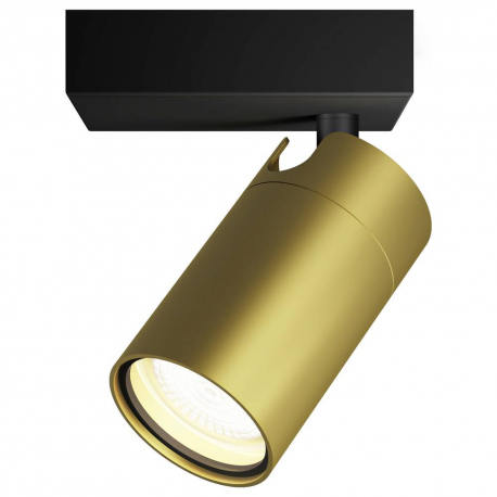 872016929917 Sufitowy/ścienny reflektor punktowy Idris IP44 PHILIPS