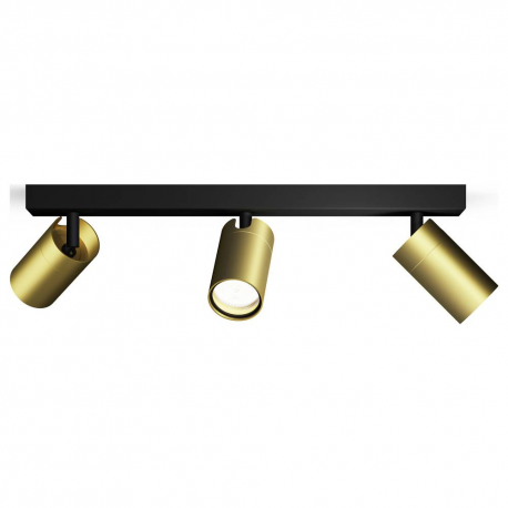 8720169299214 Sufitowy/ścienny reflektor punktowy Idris 3 x IP44 PHILIPS