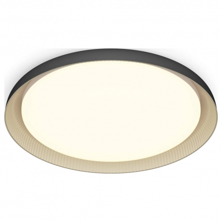 8720169301115 PLAFON LAMPA SUFITOWA 10W 4000K PHILIPS