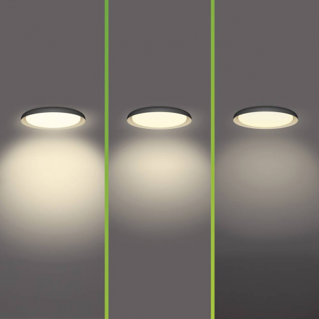 8720169301115 PLAFON LAMPA SUFITOWA 10W 4000K PHILIPS