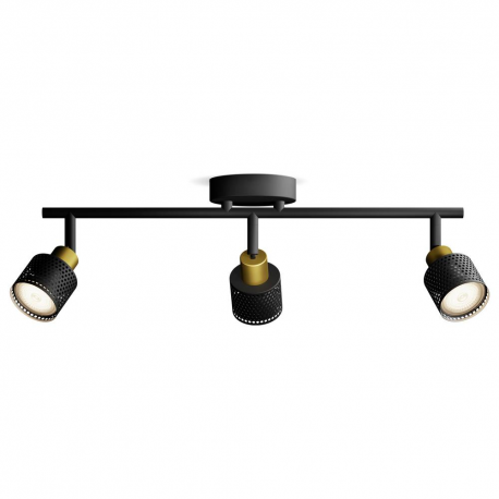 8720169300118 Sufitowy/ścienny reflektor punktowy Niall LAMPA PHILIPS