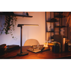 8719514443655 Lampka Biurkowa LED 12W 450lm 4000K USB Szara Sword Philips