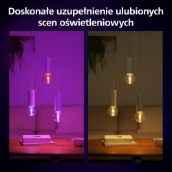 8720169311954 Inteligentna żarówka G125 E27 PHILIPS HUE