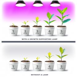 5902201382914  Żarówka do roślin LED PLANTY BIAŁA  9W E27 1200K Kobi Design