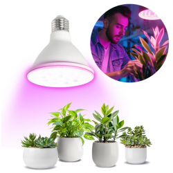 5902201382914  Żarówka do roślin LED PLANTY BIAŁA  9W E27 1200K Kobi Design