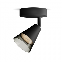 8720169299979 Sufitowy/ścienny reflektor punktowy Cleft PHILIPS