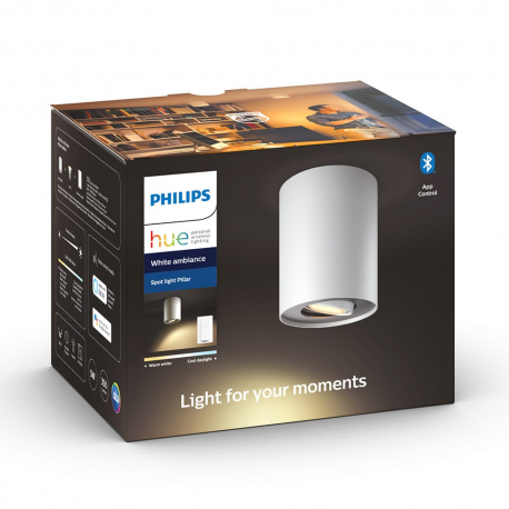 8720169320291 Pojedyncze oświetlenie punktowe Pillar PHILIPS HUE