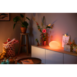 FLOURISH 40904/31/P7 LAMPA BIURKOWA LED HUE PHILIPS white and color ambience