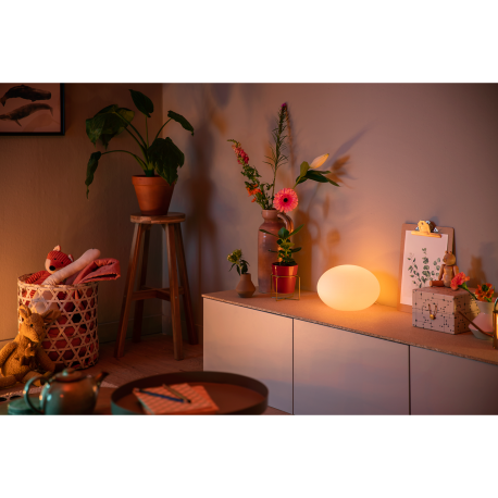 FLOURISH 40904/31/P7 LAMPA BIURKOWA LED HUE PHILIPS white and color ambience